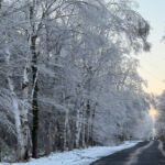 Ice Storm